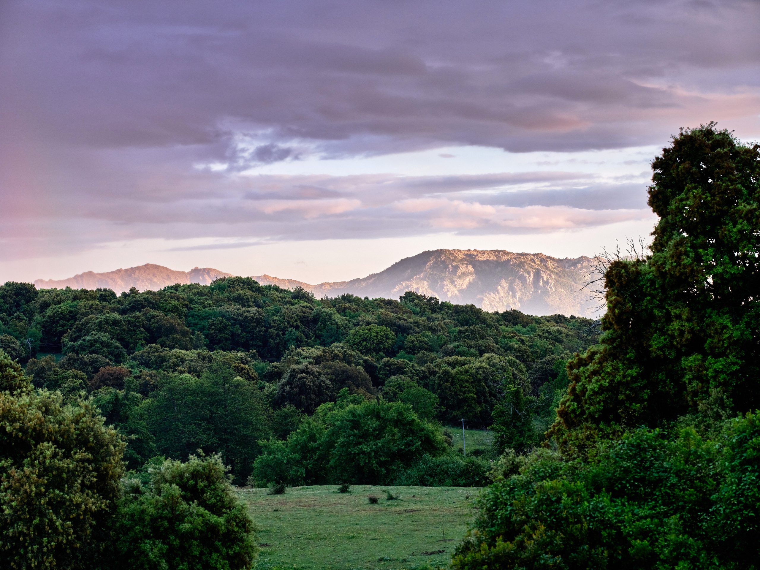 L&rsquo;OFFRE A PIGNATA & AIR CORSICA