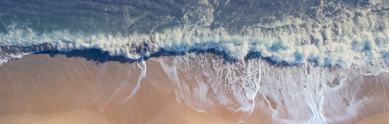 LABORATOIRES DU CAP-FERRET