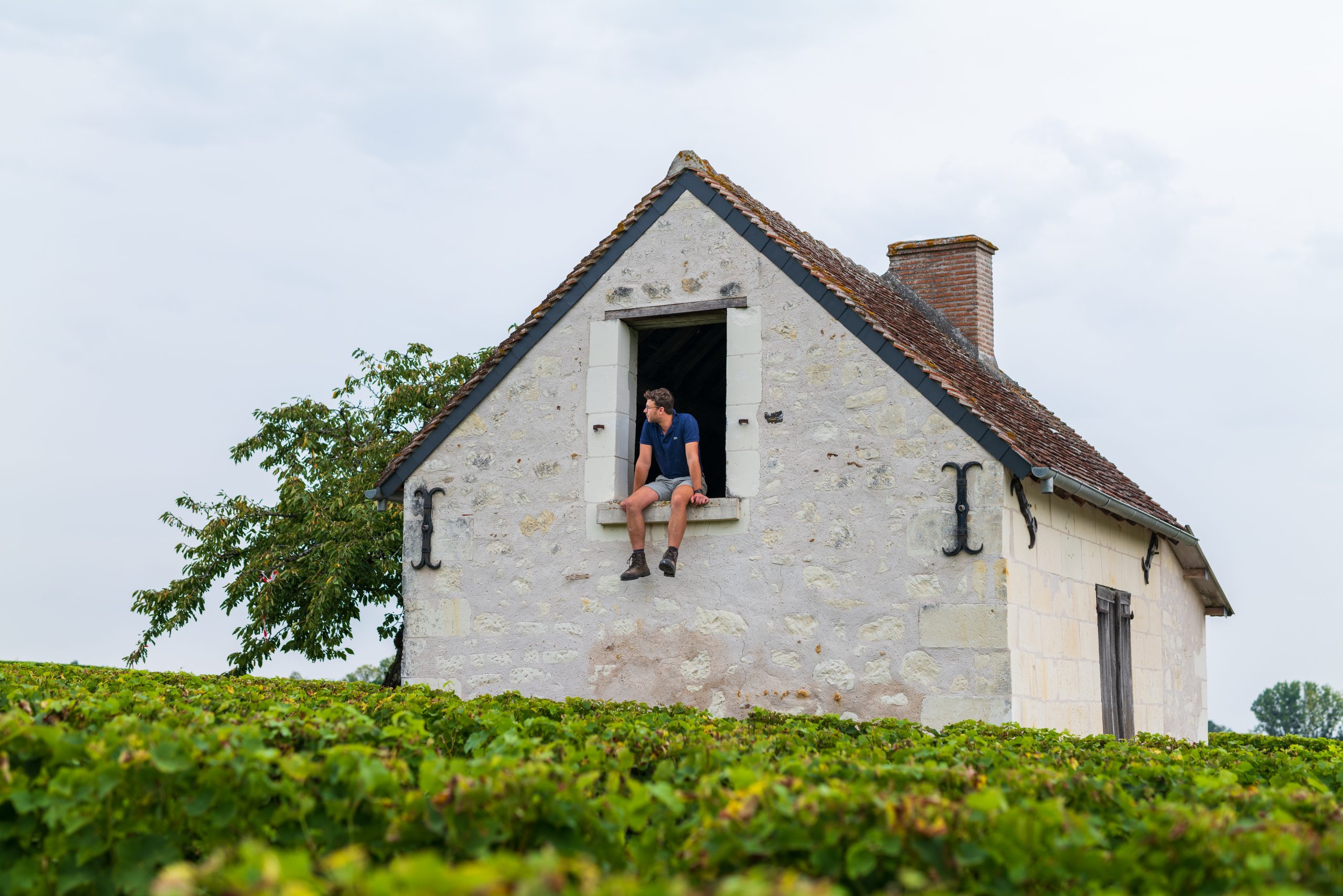 DOMAINE DES QUATRE PILLIERS